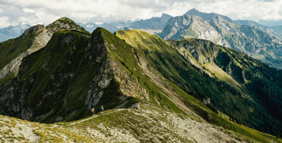 Alpstubli Sommer Region Gratwanderung Stanserhorn Engelberg Hero