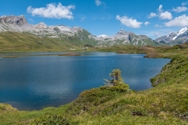 Alpstubli Sommer Region Vier Seen Wanderung Gallery 01